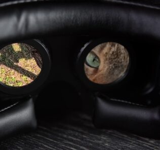 Virtuálna realita v ZOO Bojnice: Pozrite sa mačke divej priamo do očí mačka divá vo virtuálnej realite